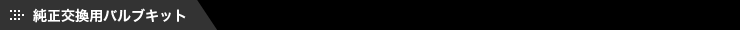 純正交換用バルブキット